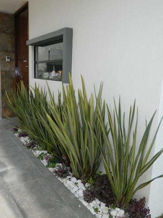 Ferienwohnung Apartamento Erita Alicante Exterior foto